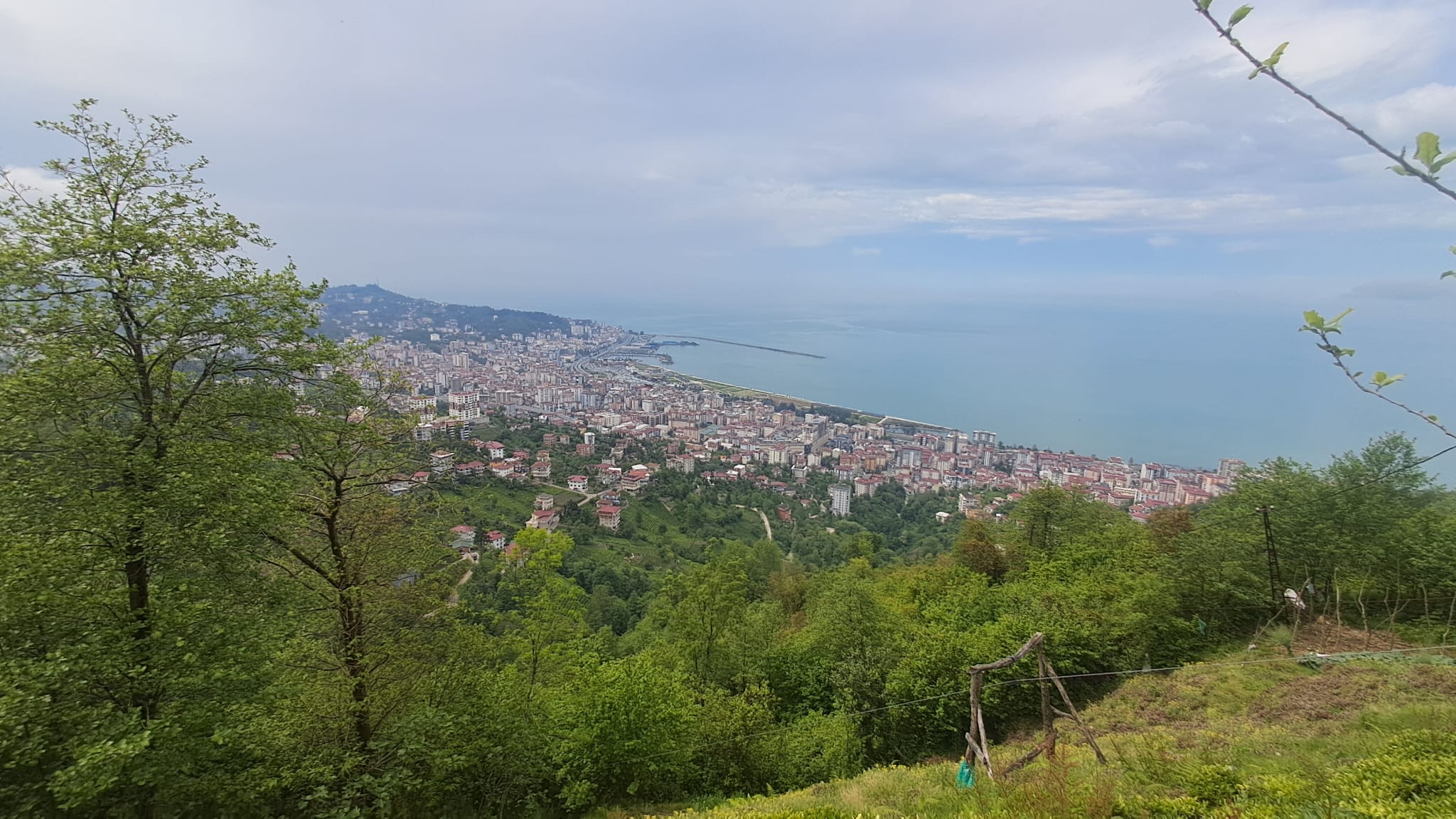Rize Merkez Resimleri