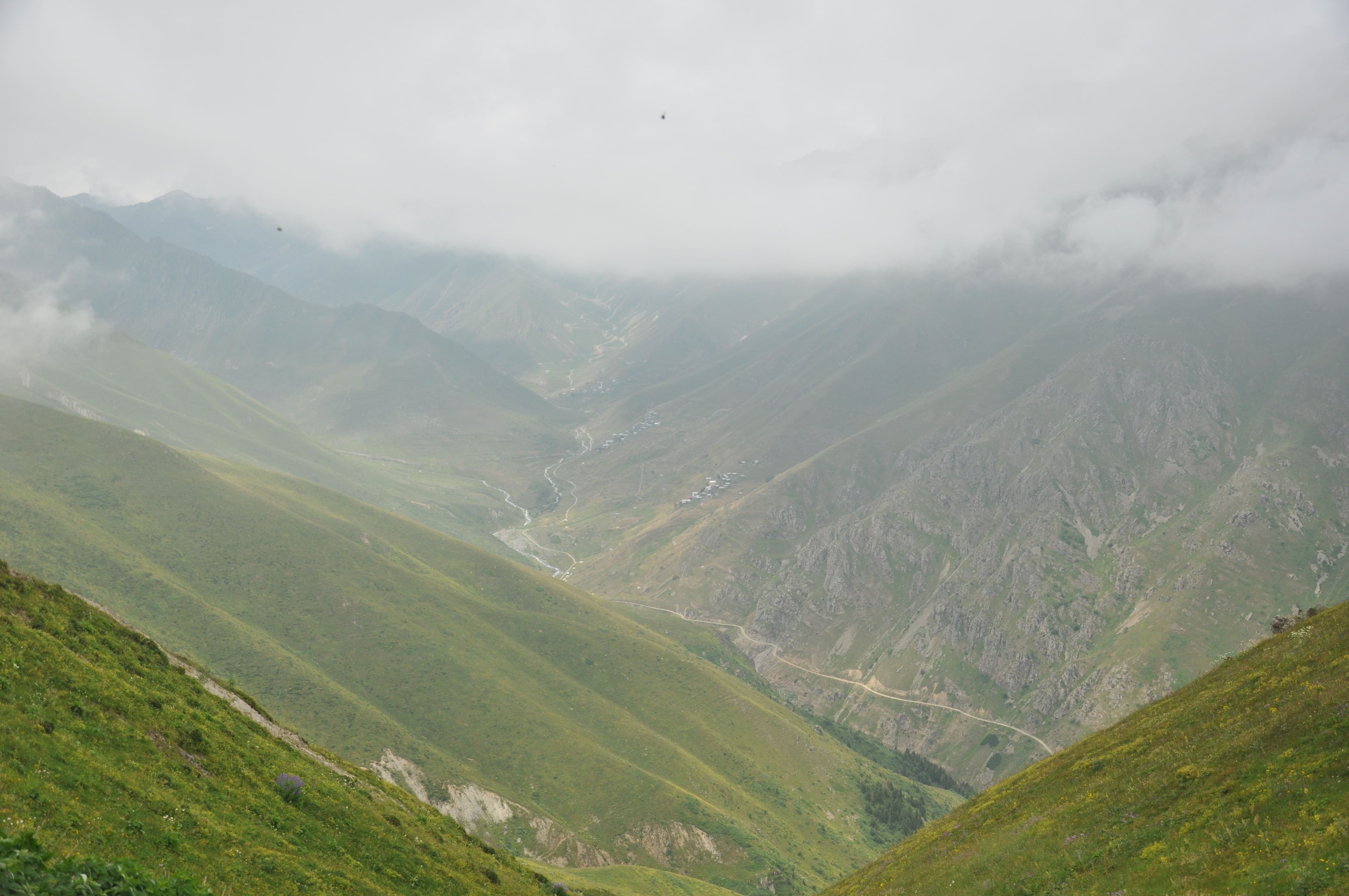 Tahpur Yaylası