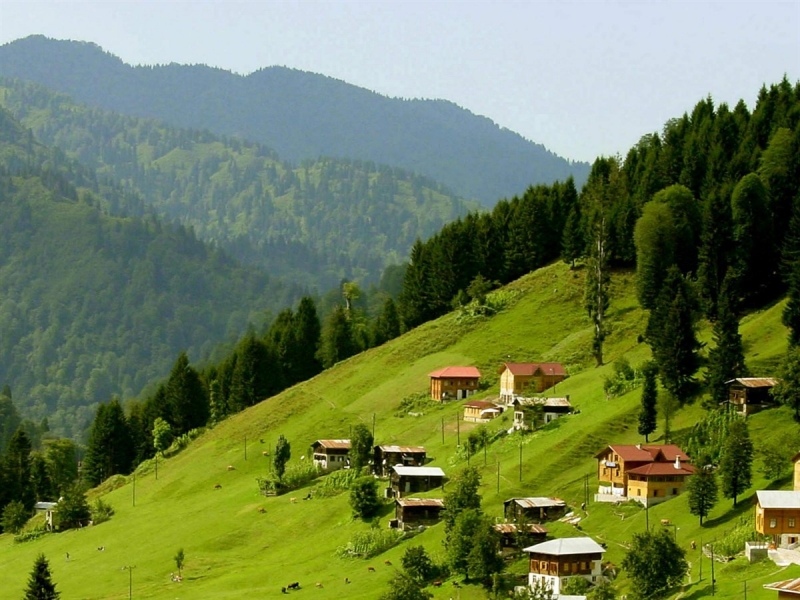 Ovit Yaylası